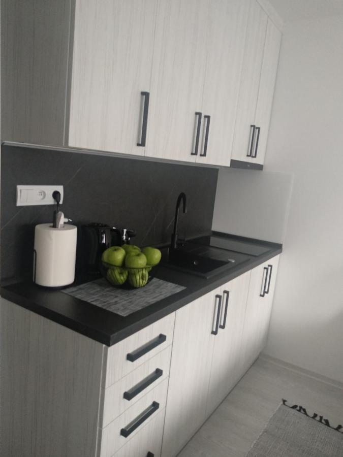 Apartment Nina Stará ľubovňa Dış mekan fotoğraf